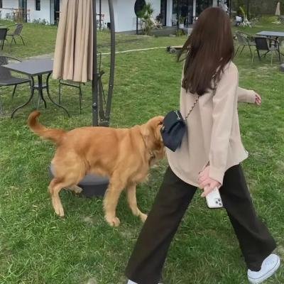不死之城2